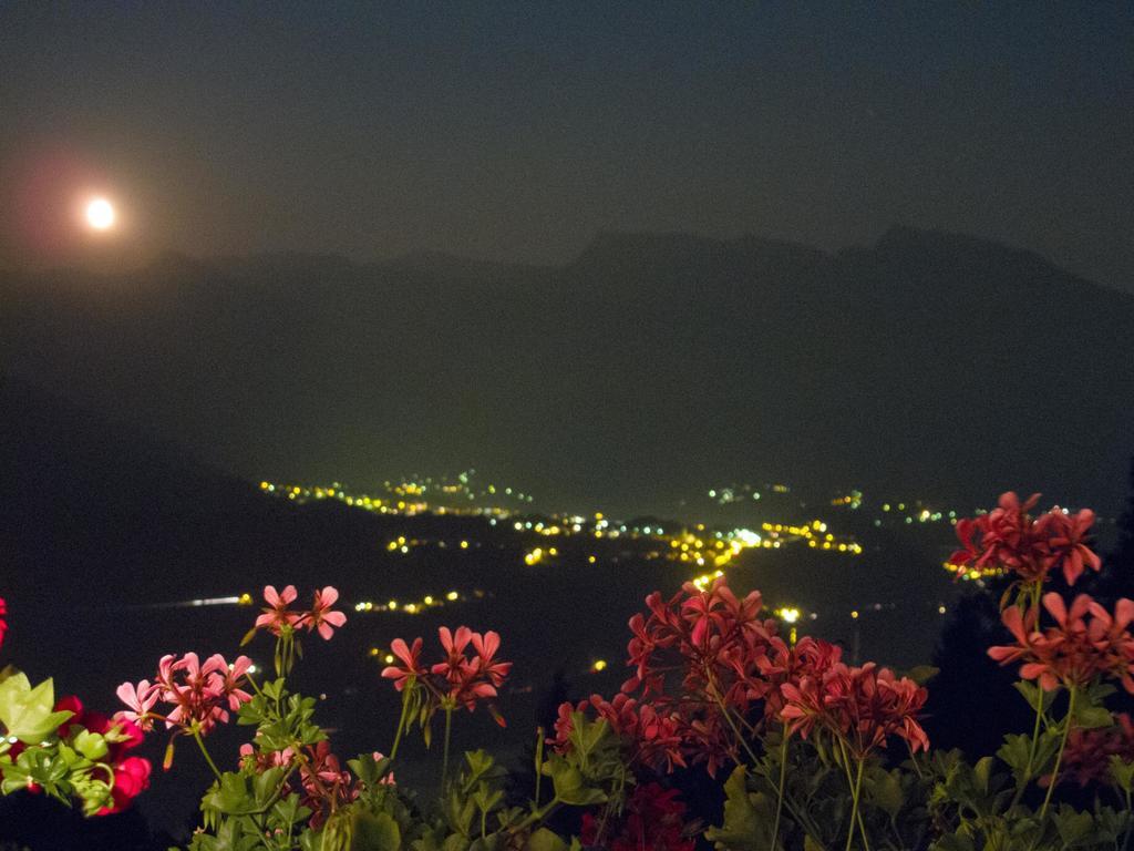 B&B Alba Sul Lago แปร์จีนา วัลซูกานา ภายนอก รูปภาพ