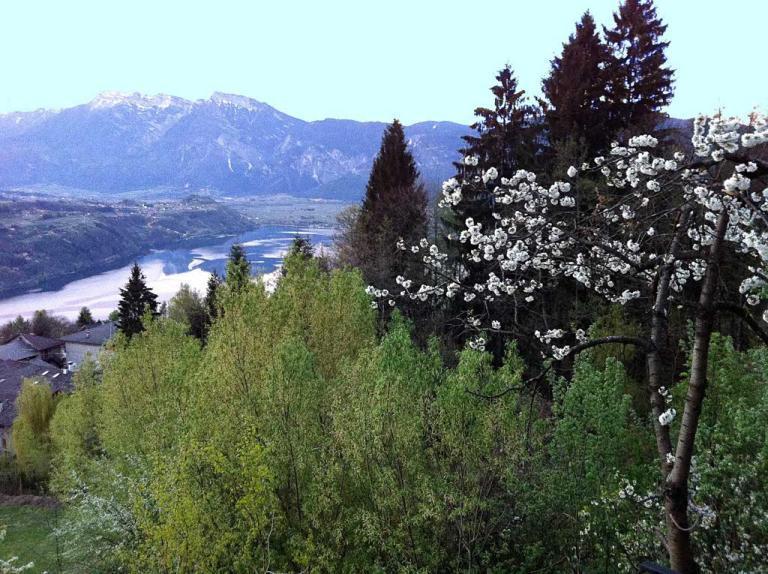 B&B Alba Sul Lago แปร์จีนา วัลซูกานา ภายนอก รูปภาพ