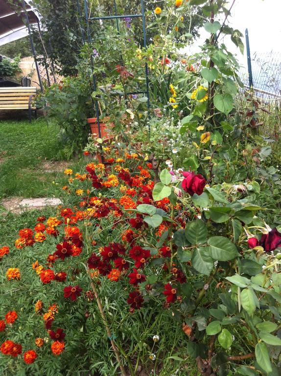B&B Alba Sul Lago แปร์จีนา วัลซูกานา ภายนอก รูปภาพ