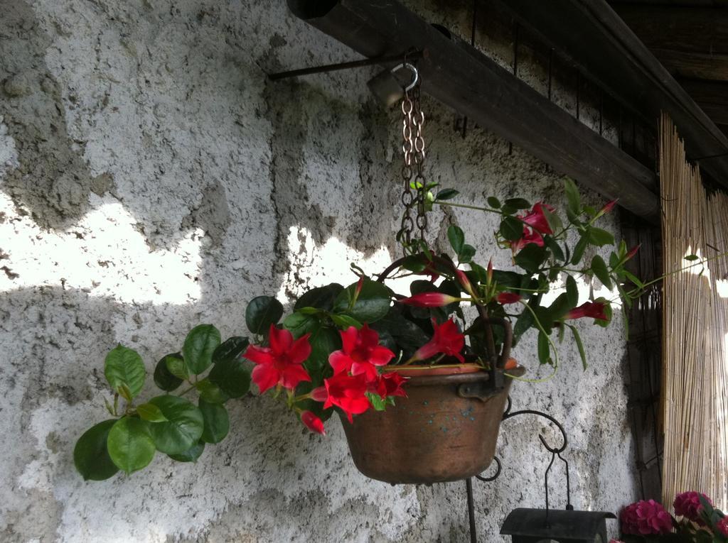 B&B Alba Sul Lago แปร์จีนา วัลซูกานา ภายนอก รูปภาพ